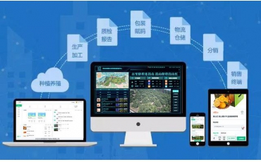 水果網紅避雷指南，“橙”心“橙”意做溯源